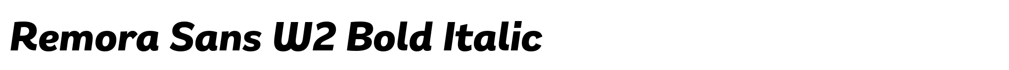 Remora Sans W2 Bold Italic image